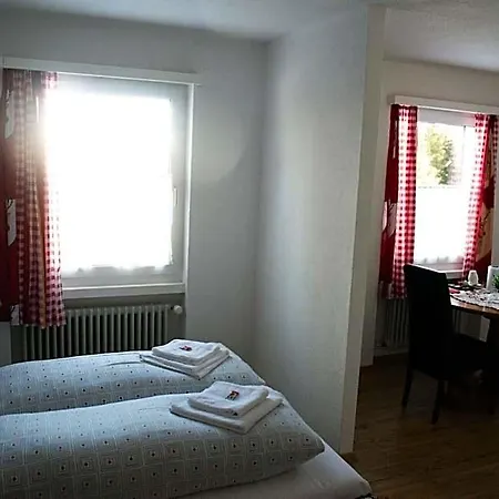 Hotel Malixerhof 2*