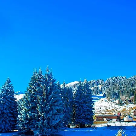 Malixerhof Domat