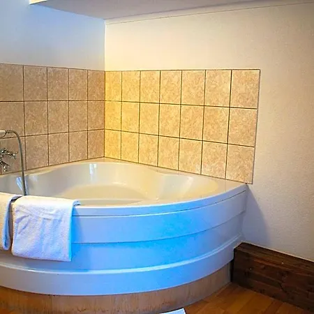Hotel Malixerhof Domat