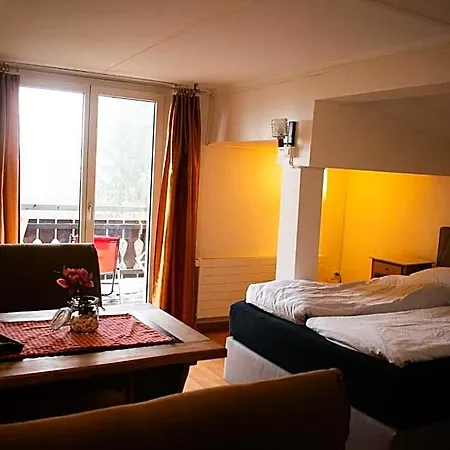 Hotel Malixerhof Domat