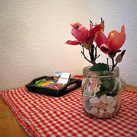 Hotel Malixerhof Domat